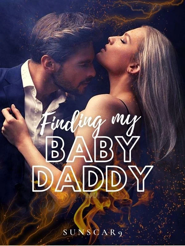 Finding My Baby Daddy Novel Cover