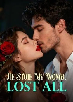 He Stole My Womb, Lost All Novel Cover