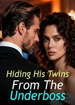 Hiding His Twins From The Underboss Novel Cover