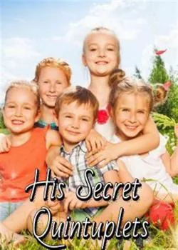 His Secret Quintuplets Novel Cover