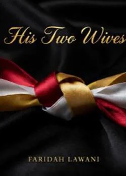His Two Wives Novel Cover