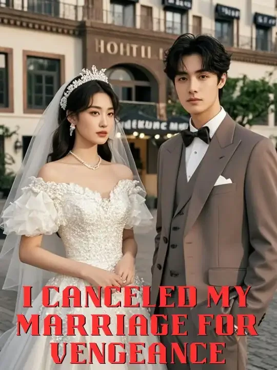 I Canceled My Marriage For Vengeance Novel Cover