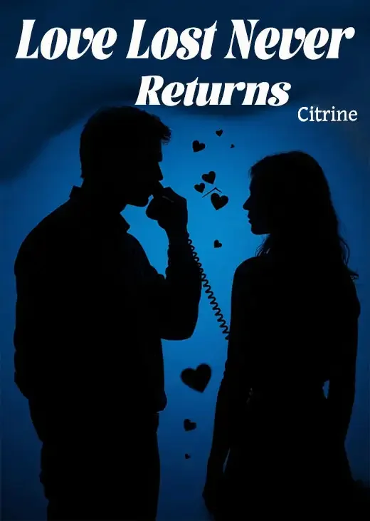 Love Lost Never Returns Novel Cover