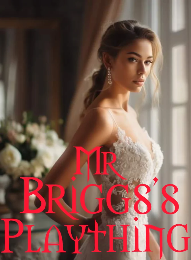 MR BRIGGS'S PLAYTHING