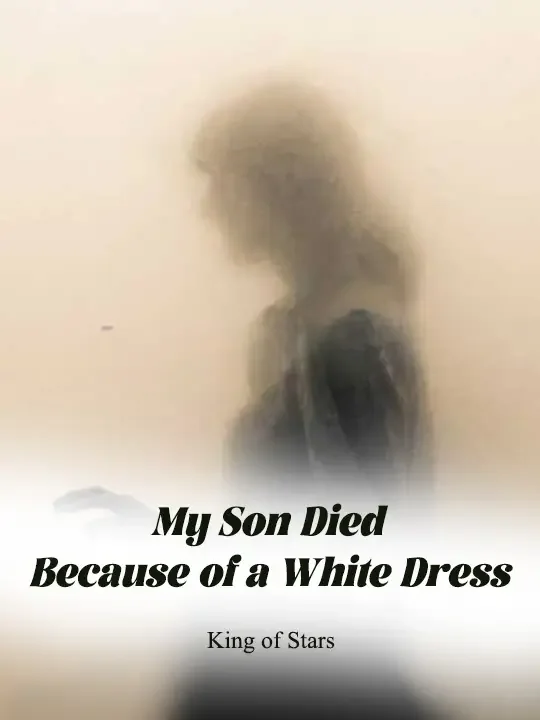 My Son Died Because of a White Dress Novel Cover