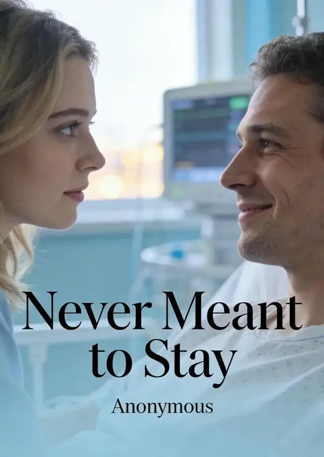 Never Meant to Stay Novel Cover