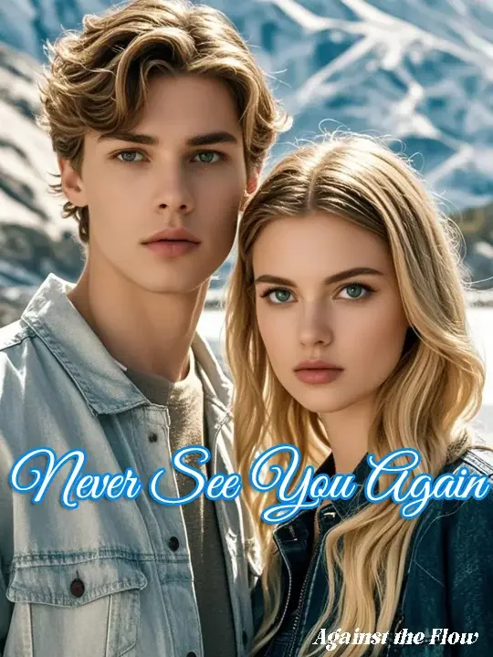 Never See You Again