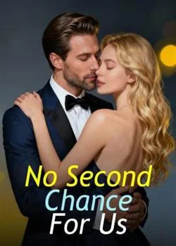No Second Chance For Us Novel Cover