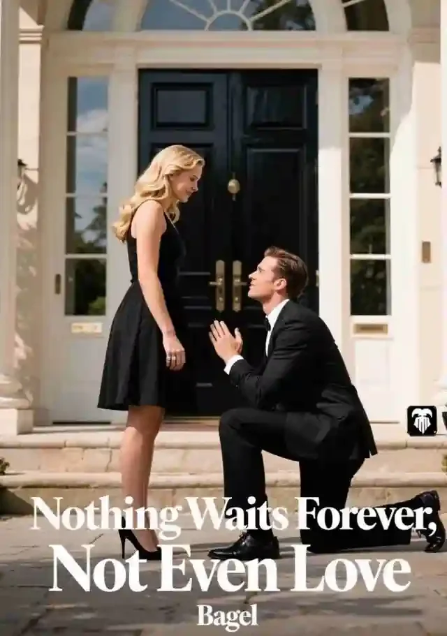 Nothing Waits Forever, Not Even Love Novel Cover