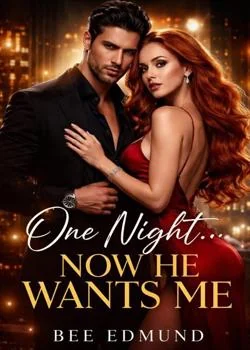 One Night, Now He Wants Me. Novel Cover