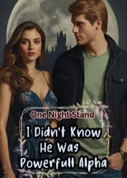 One Night Stand. I Didn't Know He Was Powerful Alpha Novel Cover