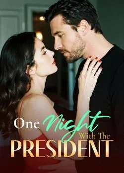 One Night With The President Novel Cover