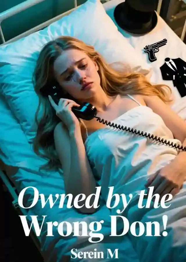 Owned by the Wrong Don Novel Cover