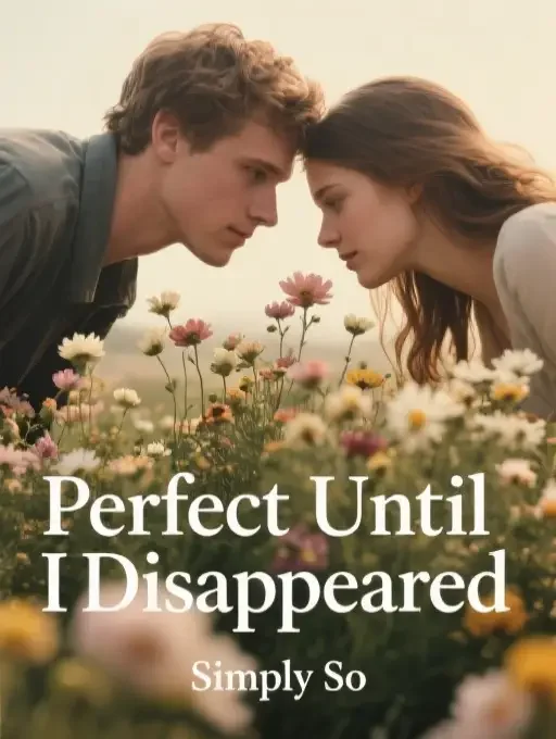 Perfect Until I Disappeared