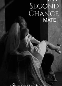 Second Chance Mate  Novel Cover