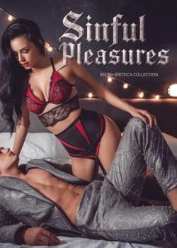 Sinful Pleasures: An 18+ Erotica Collection  Novel Cover