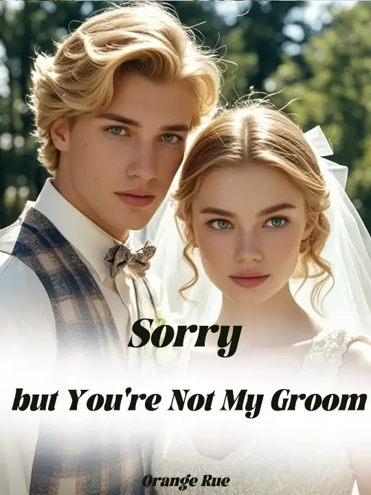 Sorry, but You're Not My Groom Novel Cover