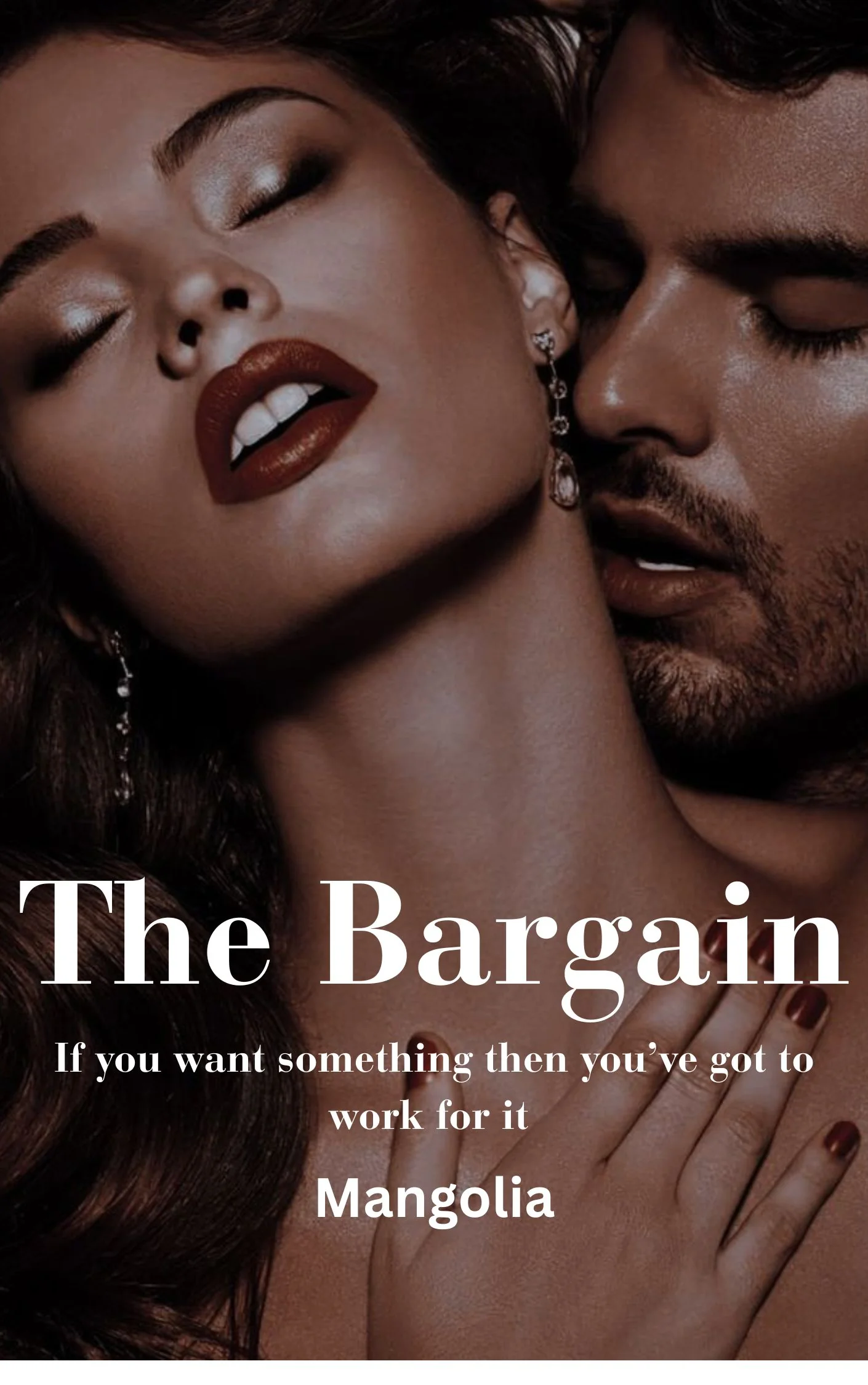 The Bargain Novel Cover