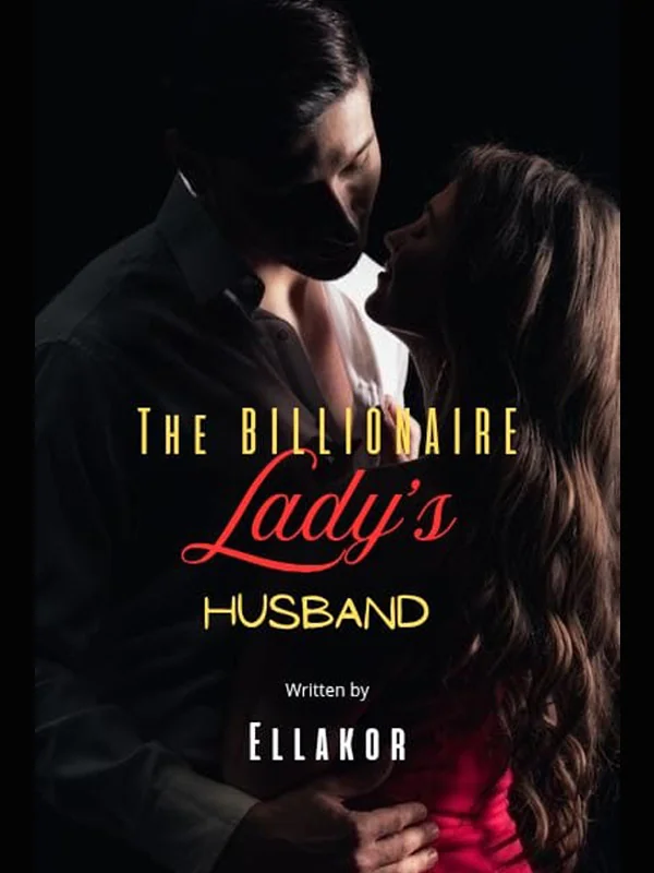 The Billionaire Lady's Husband