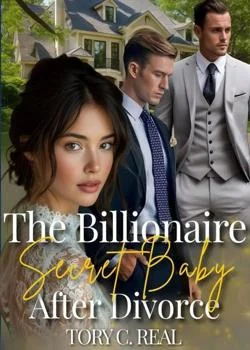 The Billionaire Secret Baby After Divorce Novel Cover