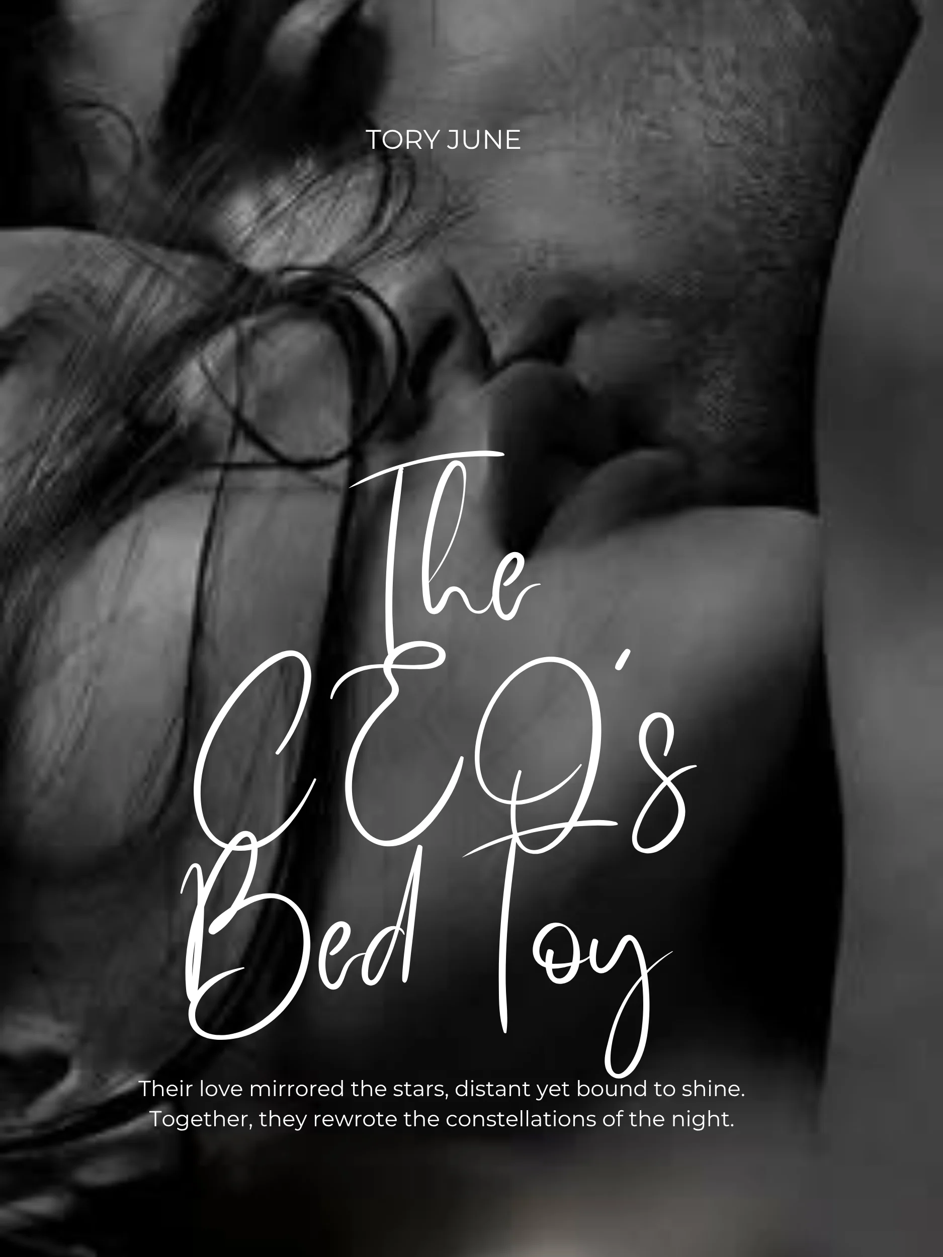 The CEO’s Bed Toy Novel Cover
