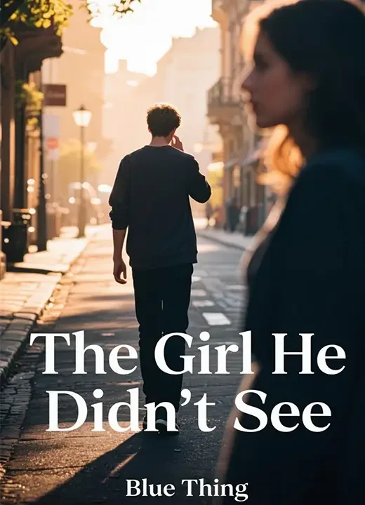 The Girl He Didn't See Novel Cover