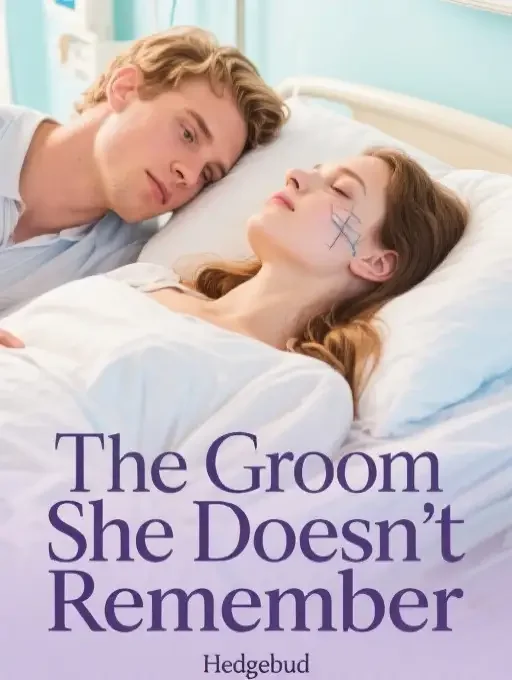 The Groom She Doesn’t Remember Novel Cover