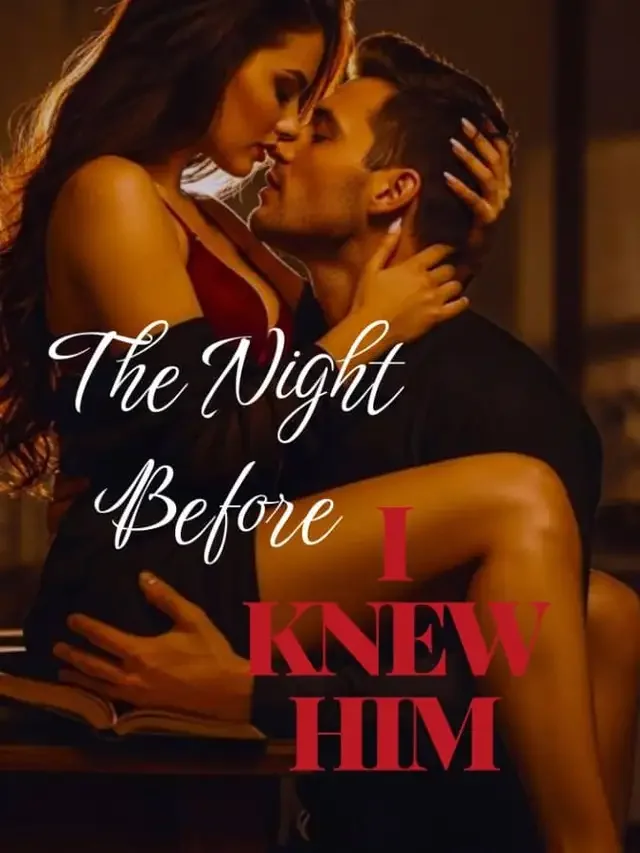 The Night Before I Knew Him Novel Cover