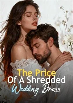 The Price Of A Shredded Wedding Dress Novel Cover