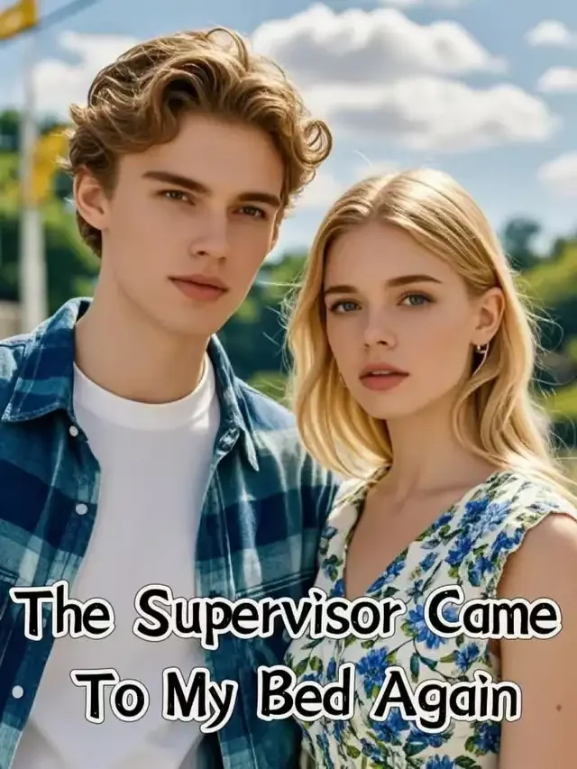 The Supervisor Came To My Bed Again Novel Cover
