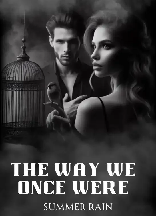 The Way We Once Were Novel Cover