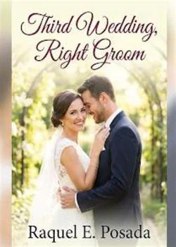 Third Wedding, Right Groom Novel Cover