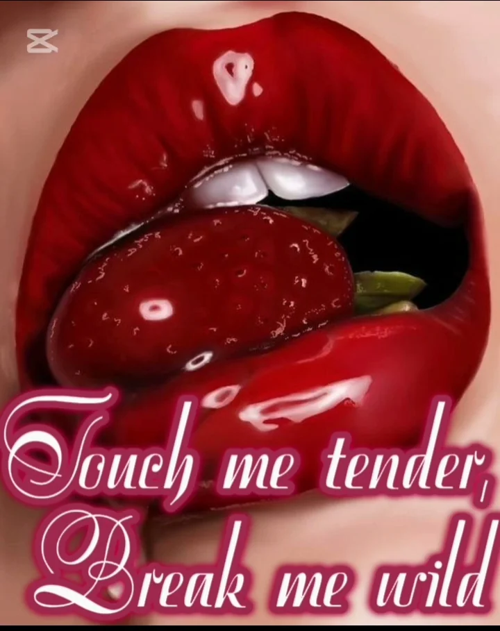 Touch me tender, Break me wild: Short, Steamy Erotica Compilations Novel Cover