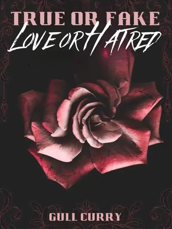 True or Fake, Love or Hatred Novel Cover