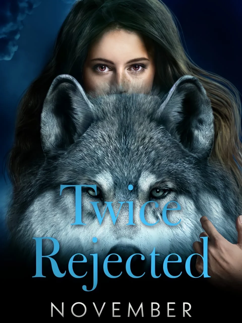 Twice Rejected  Novel Cover