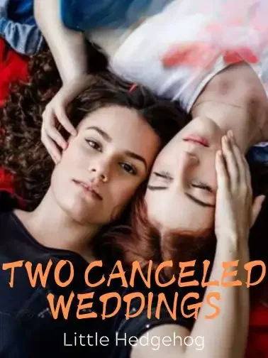 Two Canceled Weddings Novel Cover