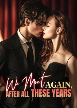 We Meet Again, After All These Years Novel Cover