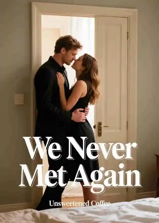 We Never Met Again Novel Cover