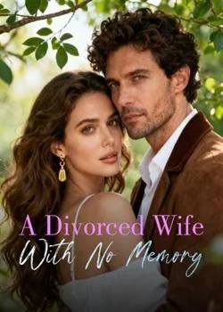 When Love Dies And Memories Fade Novel Cover