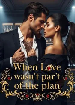 When Love Wasn't Part Of The Plan. Novel Cover