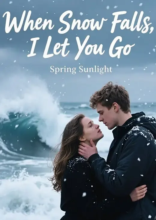 When Snow Falls, I Let You Go Novel Cover