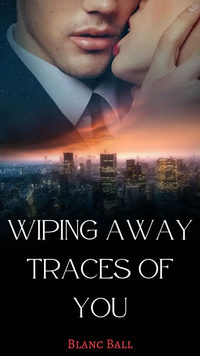 Wiping Away Traces of You Novel Cover
